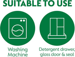 Dettol Washing Machine Cleaner Pomegranate Fresh Floral Scent Liquid 250ml