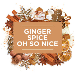 Glade Electric Plugins Scented Oil Refill Home Air Freshener Ginger Spice 20ml