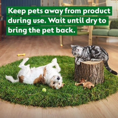 Dettol Pets Bundle Set Fresh Breeze Tough Messes & Odour Remover