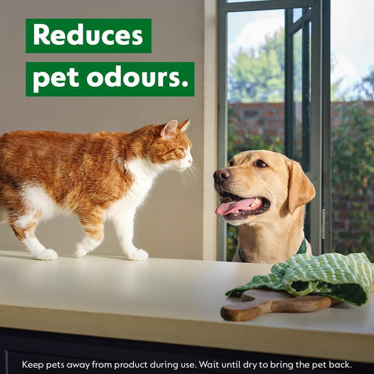 Dettol Pets Bundle Set Fresh Breeze Tough Messes & Odour Remover