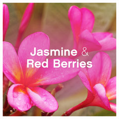 Lenor Fabric Conditioner Freshener Liquid Jasmine & Red Berries 26 Washes 858ml