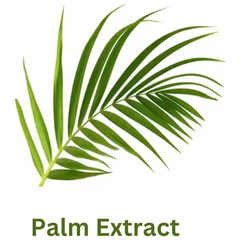 Palmolive Classic Lather Shaving Cream For Men 100ml with Palm Extract