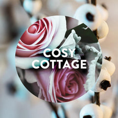 Air Wick Cosy Cottage Air Freshener Spray Reed Diffuser Frosted Roses Snowberry