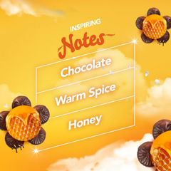 Glade Sense & Spray Sweet Chocolate Treat Air Freshener Refill Duo (2 x 18ml) - Limited Edition - Home Office Hotel