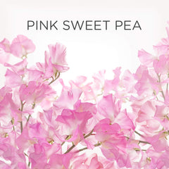 Air Wick Plug In Refills Scented Oil Air Freshener Pink Sweet Pea 19ml