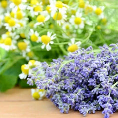 DermaV10 Lavender Oil Chamomile & Rosemary Extract Roll On 10ml