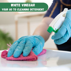 Disiclin Multi Purpose Glass Cleaner White Vinegar With Lemon Spray 750ml
