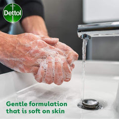 Dettol Hand Wash Liquid Anti Bacterial Handwash Pump Camomile 250ml
