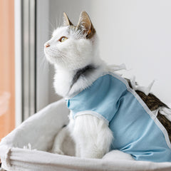 Posh Paws Professional Pet Kitty Care Kit 5Pcs Cleans Germs