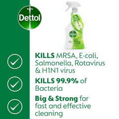 Dettol Anti Bacterial Multi Purpose Cleaner Green Apple 500ml Cleaning Power