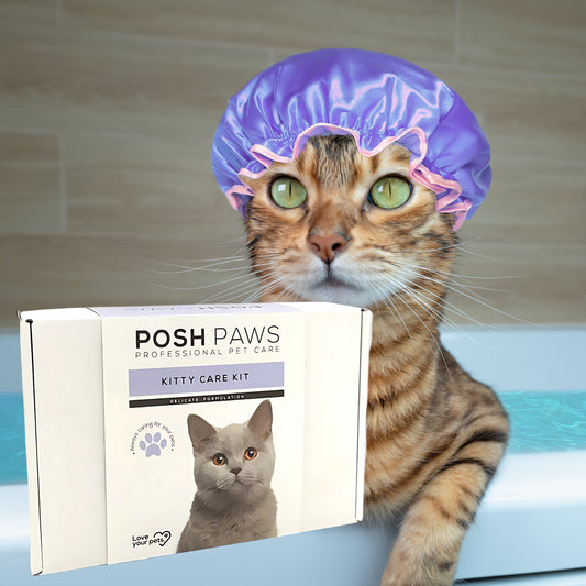 Posh Paws Professional Pet Kitty Care Kit 5Pcs Cleans Germs