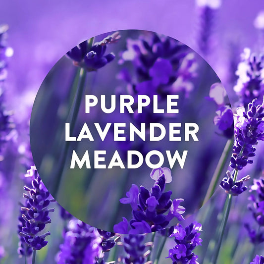 Air Wick Plug in Diffuser Purple Lavender Meadow Home Air Freshener Fragrance