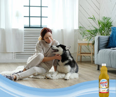 Disiclin Multisurface Floor Cleaner Concentrated Scented Liquid Gold 1L