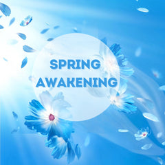 Lenor Fabric Conditioner Spring Awakening Freshener Laundry Liquid 43 Wash 1.42L