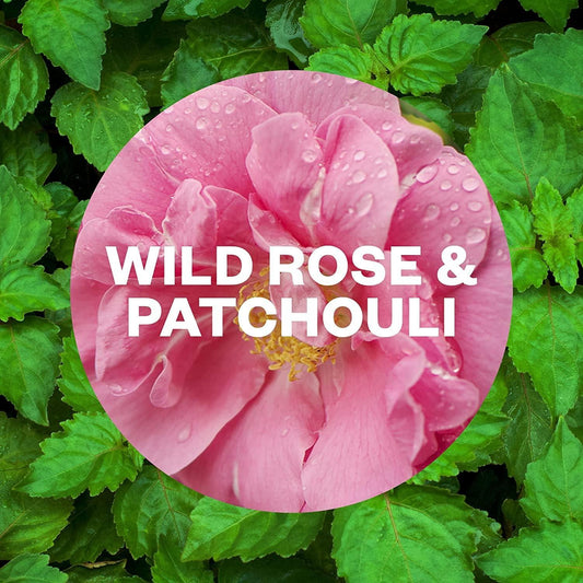 Air Wick Freshmatic Refills Automatic Spray Wild Rose & Patchouli 250ml