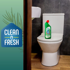 Clean N Fresh Toilet Cleaner Forest Fresh Pine Sparkling Finish 750ml Clingsbowl