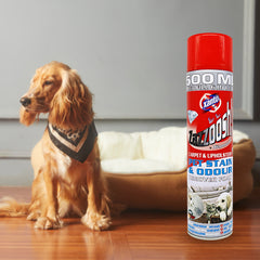 Xanto Carpet Upholstery Pet Stain Cleaner Odour Remover Foam 500ml