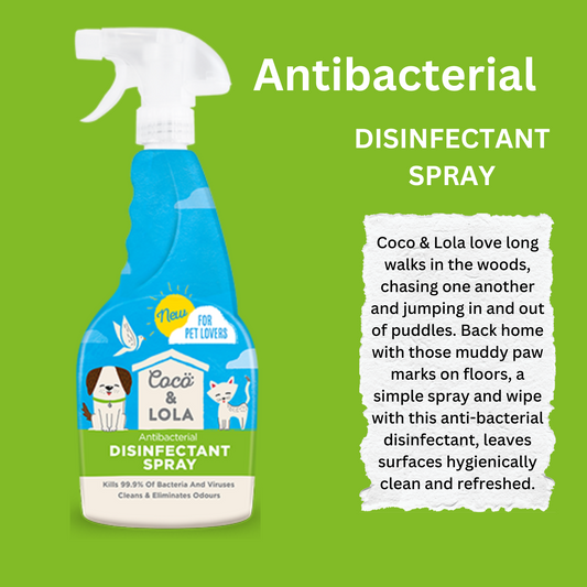Coco & Lola Disinfectant 500ml Bundle | Spray & Concentrated
