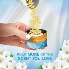 Lenor In Wash Scent Booster Orange Blossom Coastal Cypress All Fabrics Freshenes