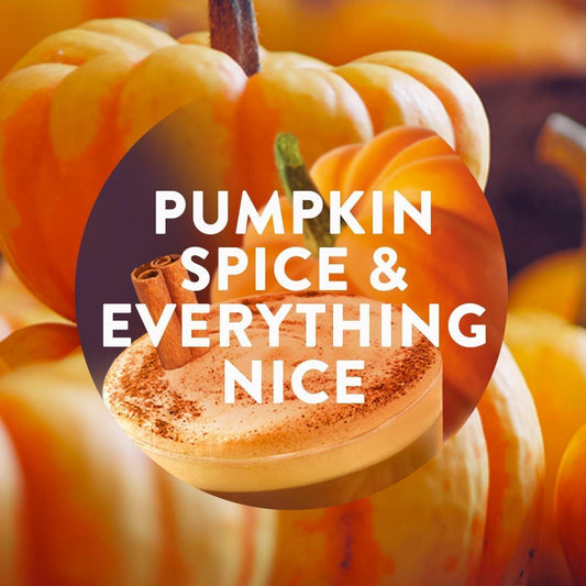 Airwick Essential Mist Diffuser Refill Freshener Pumpkin Spice Everything Nice