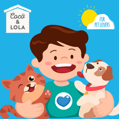 Coco & Lola Disinfectant 500ml Bundle | Spray & Concentrated