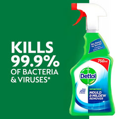 Dettol Mould Mildew Remover Spray Bathroom Kitchen 750ml