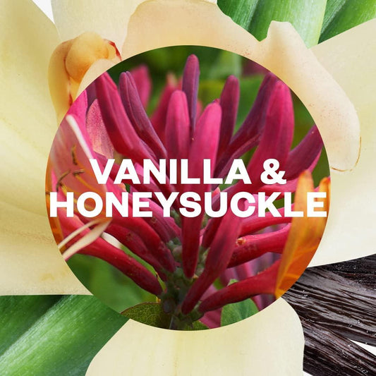 Air Wick Active Fresh Spray Refill Air Freshener Vanilla & Honeysuckle 228ml