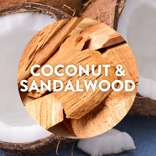 Air Wick Plug in Diffuser Paradise Escape Coconut Sandalwood Air Freshener Scent