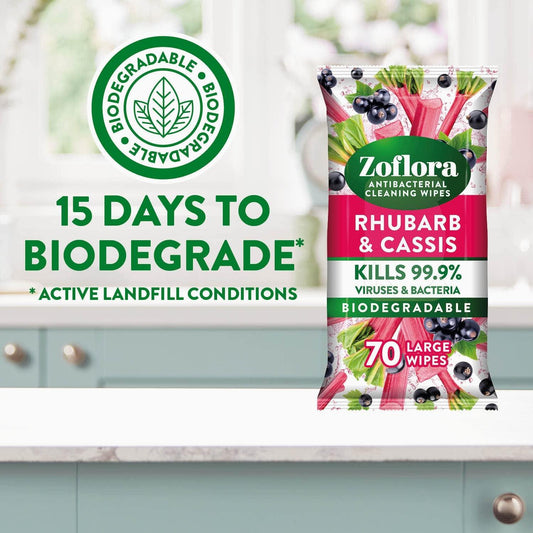 Zoflora Antibacterial Multi Surface Cleaning 70 Large Wipes Rhubarb & Cassis